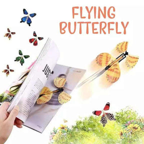 flying butterfly 