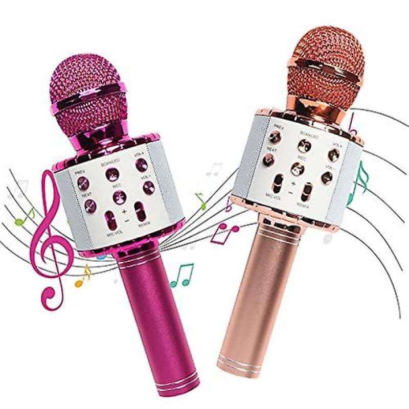 Wireless Bluetooth Karaoke Microphone & HiFi Speaker - WS-858 | Voice Changer & Recorder